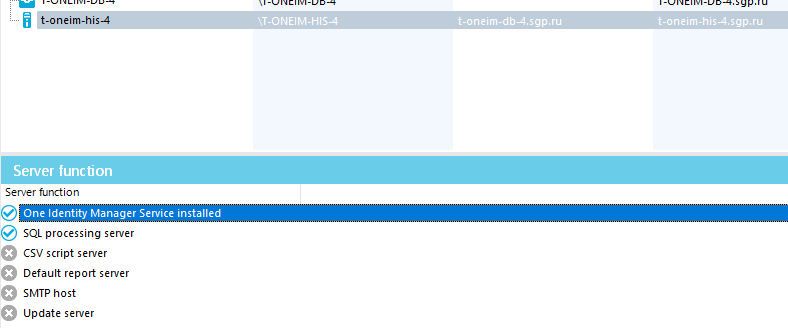 Sewer function Server function One Identity Manager Service installed SQL processing server CSV script server Default report server SMTP host Update server 